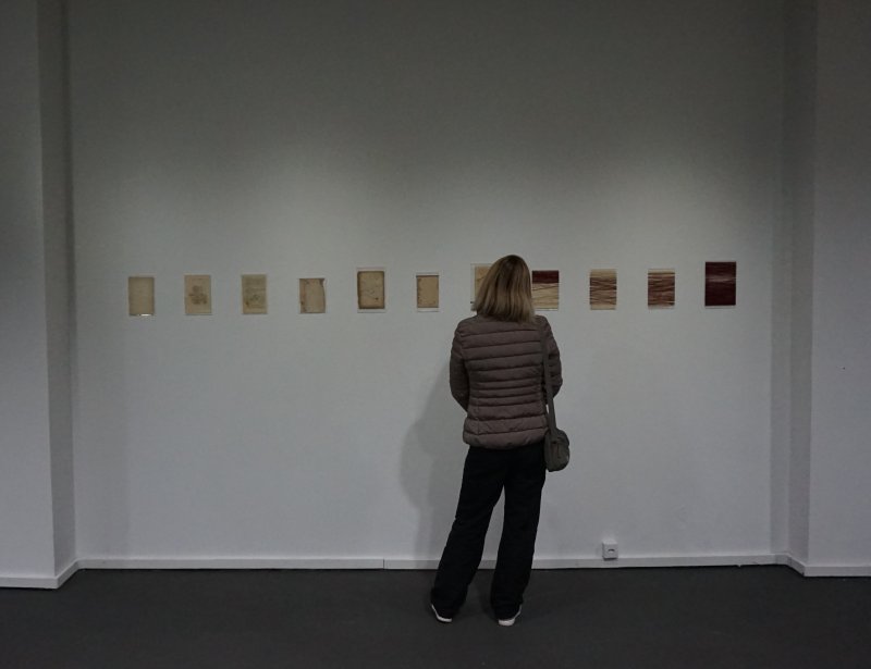Artes Visuais: confira a agenda de exposições gratuitas