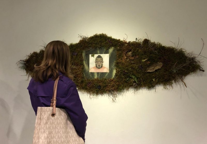 Novas exposições com entrada gratuita