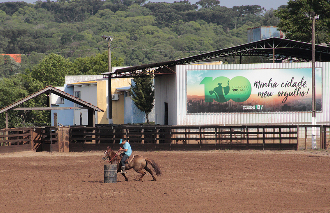 Iniciam nesta quinta-feira provas três tambores com cavalo Quarto de Milha