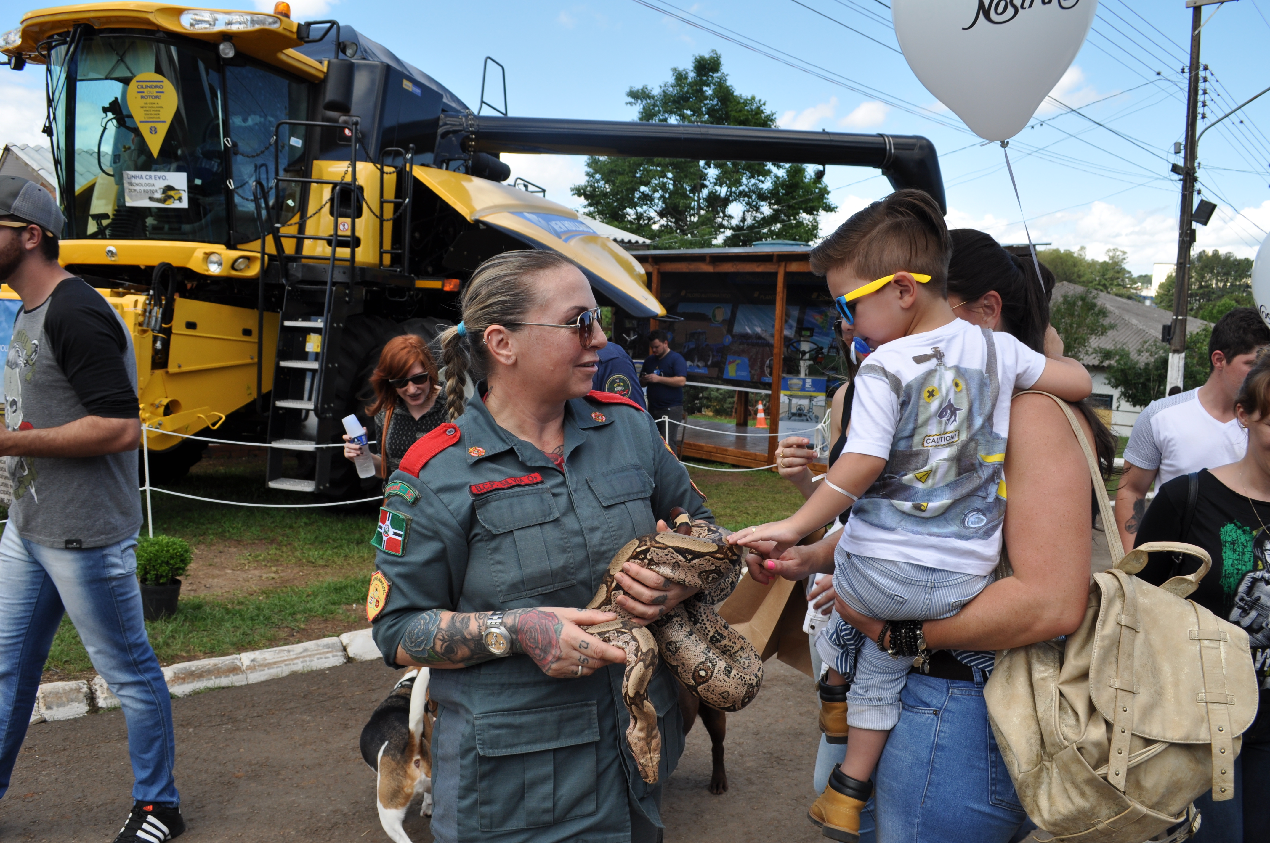 Jiboia circula pelo parque no último dia de Efapi