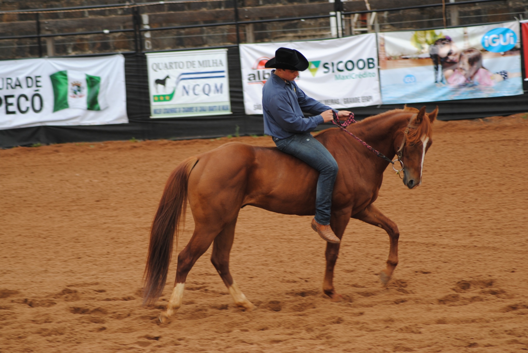 Campeonato Catarinense do Cavalo Quarto de Milha será disputado na EFAPI 2017