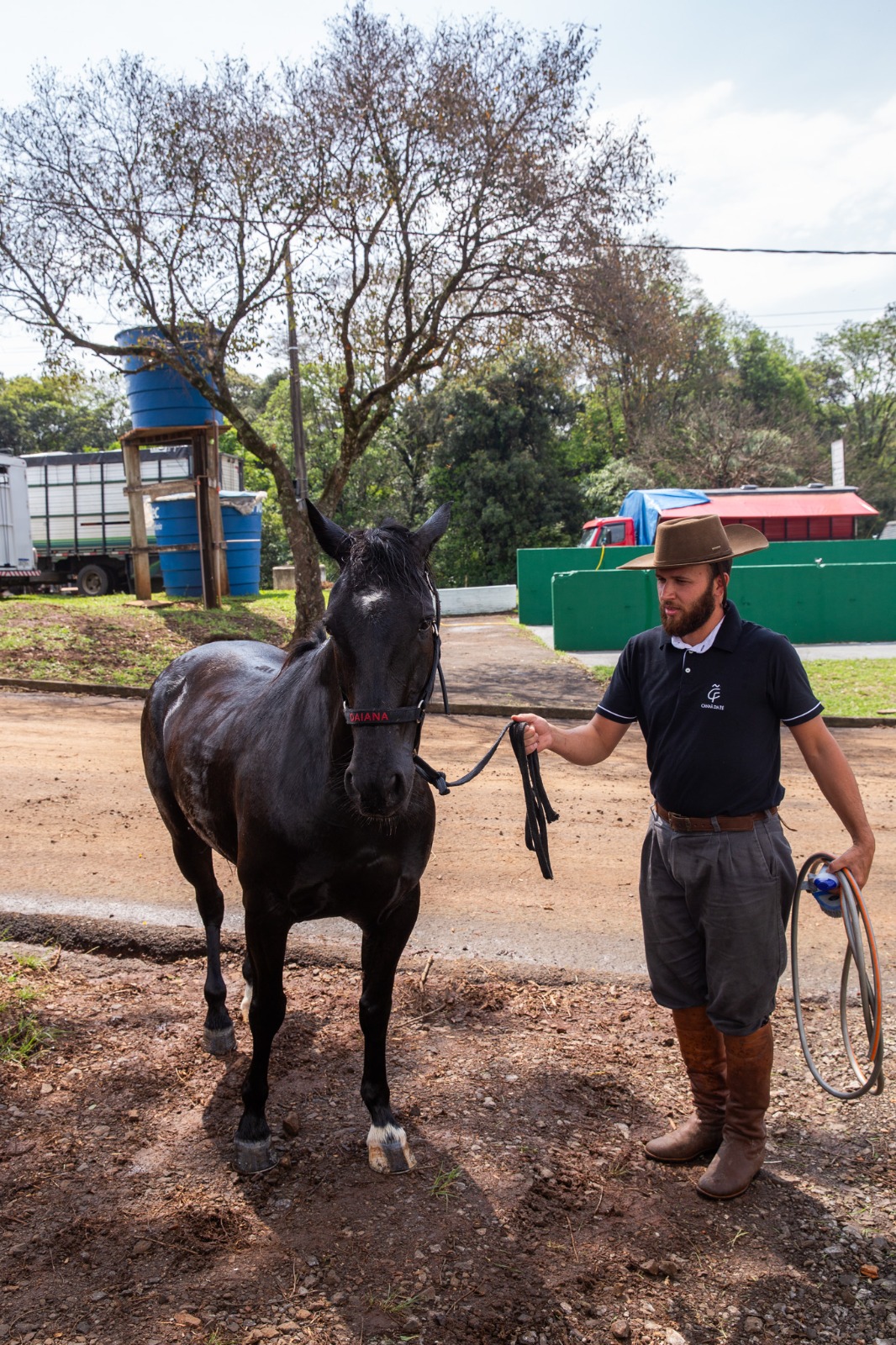 Animais começam a chegar no Parque da Efapi